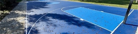 Henry Lee and Suburbia Park