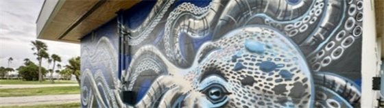 A tentacled masterpiece emerges - photograph of mural