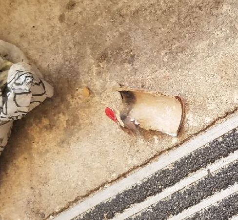 firecrackers found at mainland 2