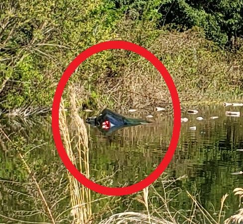 Buick involved in fatal ax 21-04393