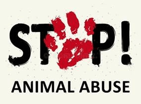 Stop Animal Abuse